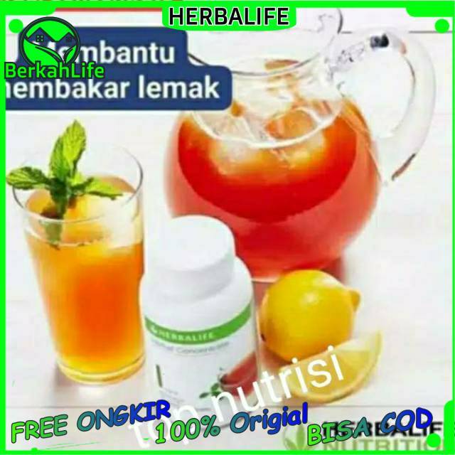 Teh Instan Penurun Berat Badan Thermogenic Thermo Concentrate Herbalife Herballife tea concentrate  