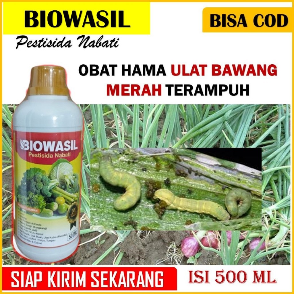 (PROMO MURAH) PESTISIDA NABATI BIOWASIL 500  ML  obat hama ulat bawang merah terbaik - obat ulat gra