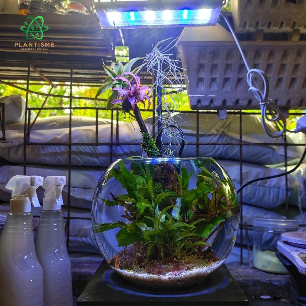Aquascape Bowl - Mini Planet Fullset Glass Bowl Filter Lampu Tatakan Open Top Dekorasi Indoor Tanama