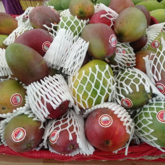 

Mangga pelangi unik mangga fresh 1 kg