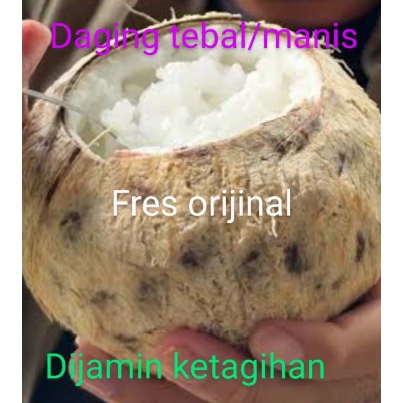 

kopyor fres bergaransi ,kupas/seset /plontos, uk53-55cm