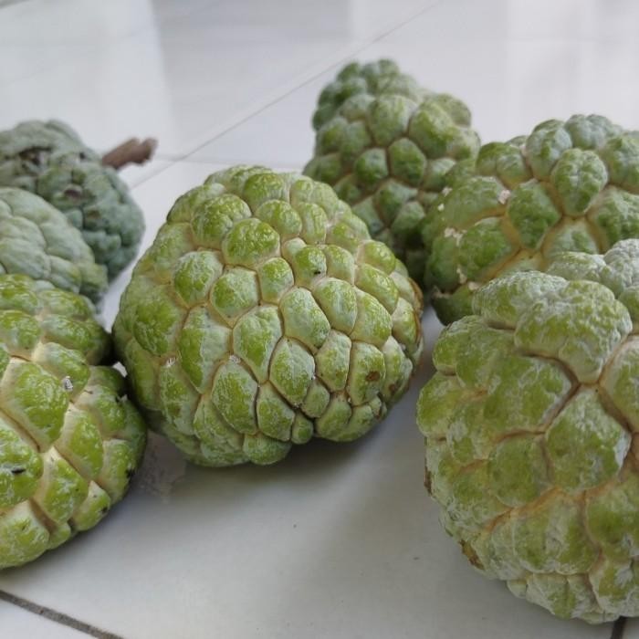 

Buah Srikaya Hijau Segar 1 kg