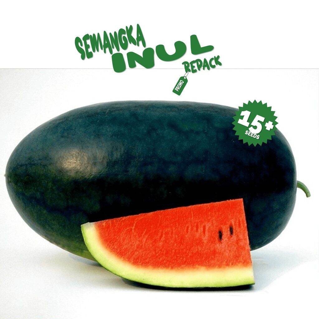 30 BUTIR BIJI/BENIH SEMANGKA INUL MARDY