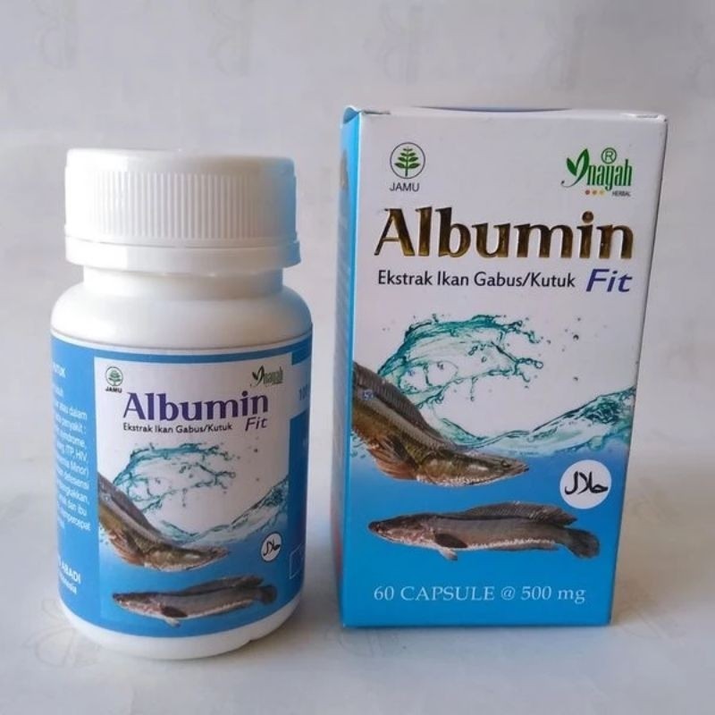Ekstrak ikan gabus albumin inayah herbal ori
