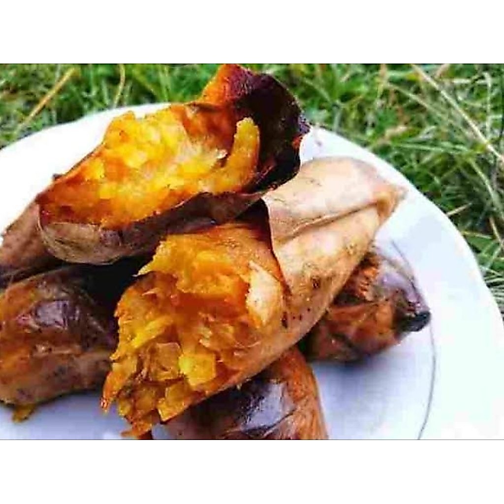 ubi cilembu matang oven | ubi cilembu madu