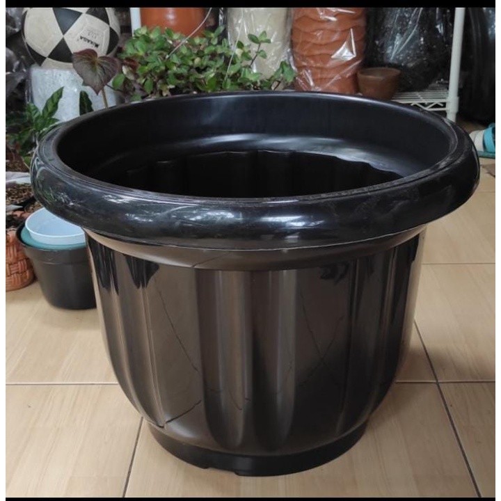 Pot Besar 50 Hitam Mengkilap Jumbo Pot Tanaman Besar Murah