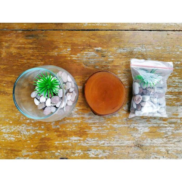 AKUARIUM MINI CUPANG / TANK CUPANG / AQUARIUM GUPPY / AQUASCAPE UNIK / KADO - FULLSET B