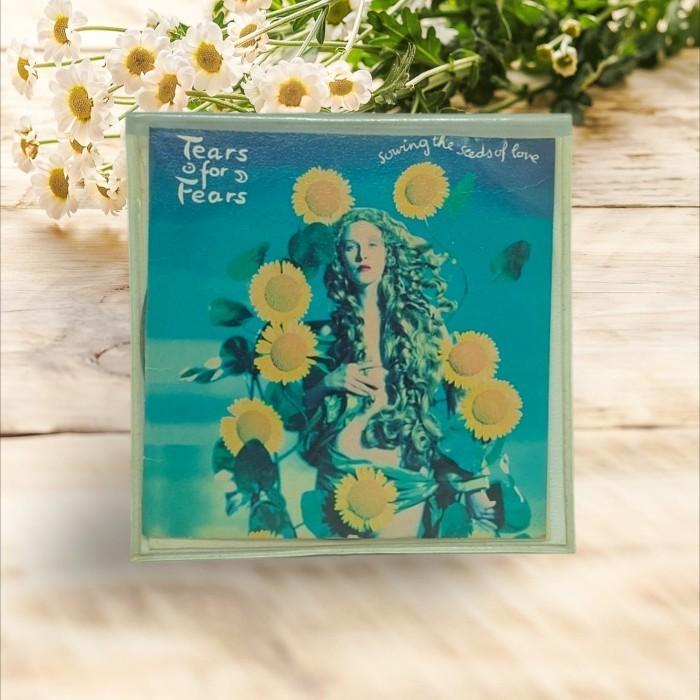 CD Audio Tears For Fears - CD Sleeve Case