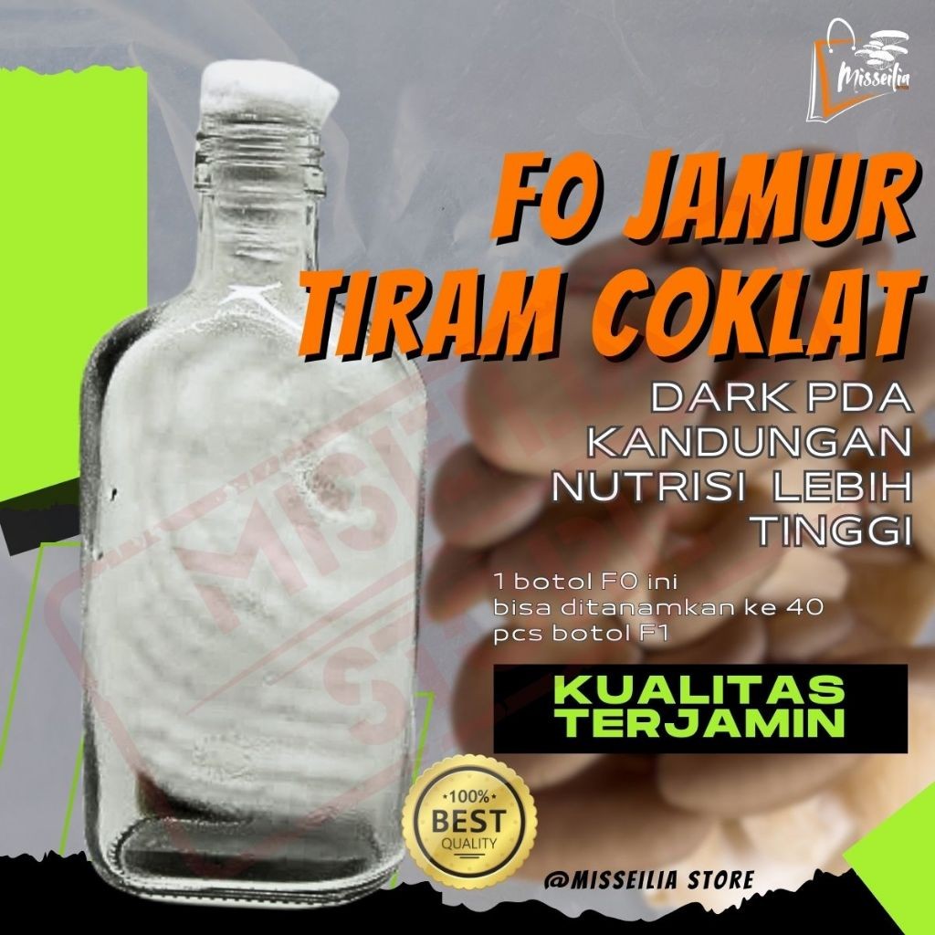 Bibit F0 Jamur Tiram Coklat Berkualitas Benih Induk Kultur PDA Murni