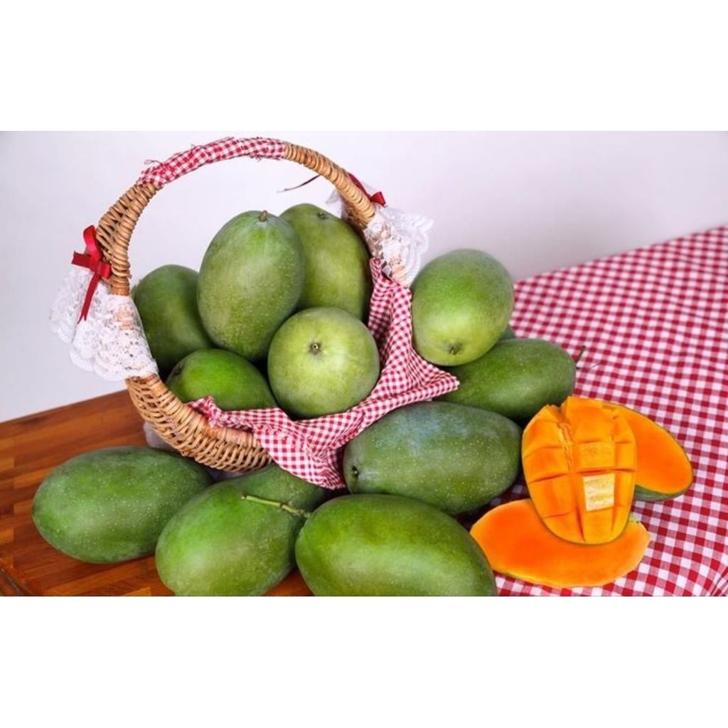 

MANGGA GADUNG / HARUM MANIS / MANGGA ALPUKAT KLONAL 1KG