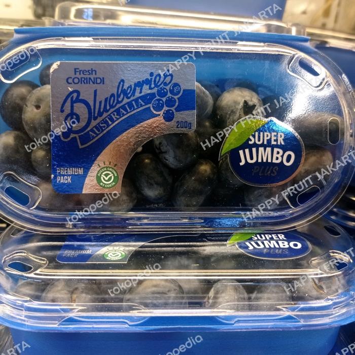 

Blueberry Australia fresh Corindi Super Jumbo 200 gram / pack
