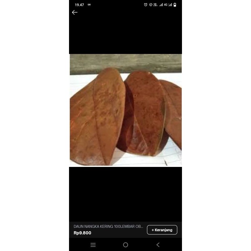 

Daun nangka kering 100 Lembar obat Herbal obat TRADISIONAL ALAMI