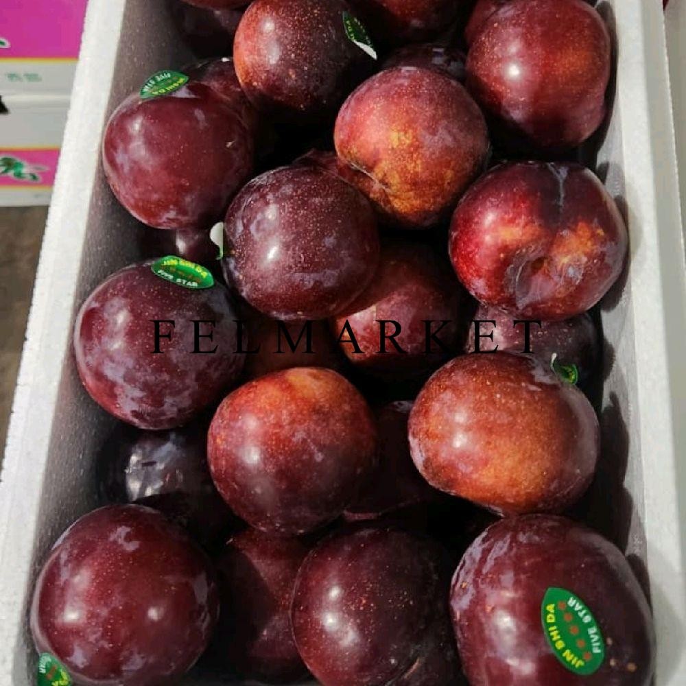 Promo Buah Plum Red Import Fresh / Buah Plum Merah / 1 Kg