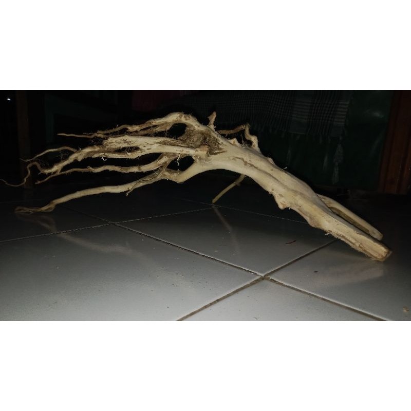 PROMO akar raksamala aquarium aquascape/akar aquarium aquascape murah size M,L dan XL