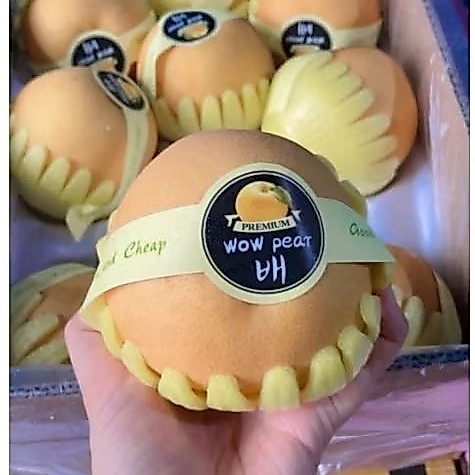 Pear singo Korea