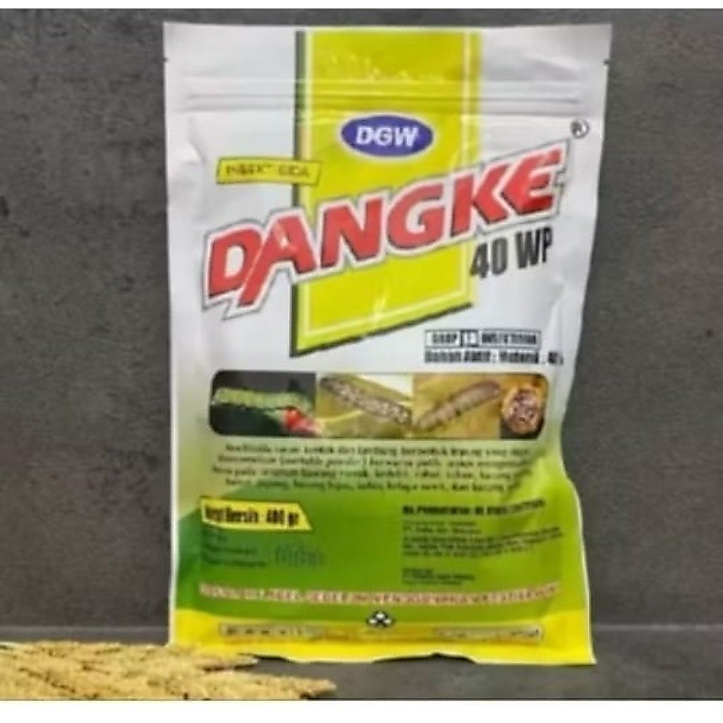 Dangke 400 gram