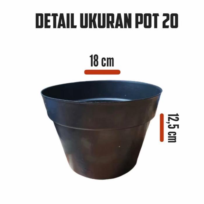 pot bunga ukuran 20 paket isi 1 lusin murah / pot tanaman plastik murah / pot bunga hitam ukuran 20 