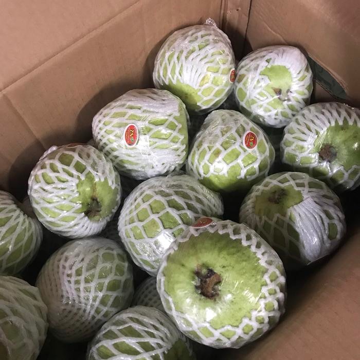 

Buah jambu mutiara super 1 kg