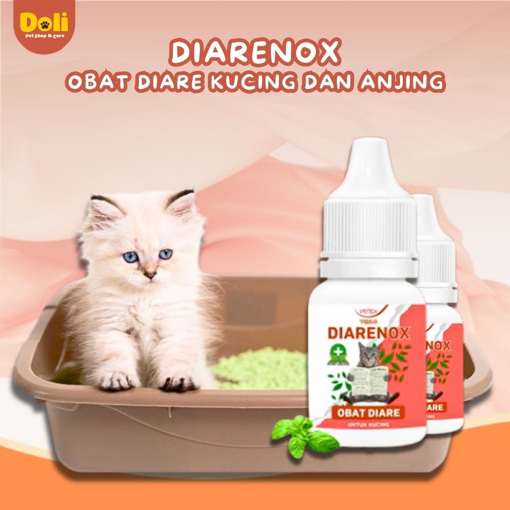 Diarenox Obat Mencret Anti Diare Anak Kucing Venox Anti Diare Mencret Cat Kitten Adult