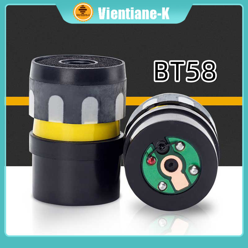 Spool Mic BT58 / Spul Mikrofon / Dynamic Microphone Core