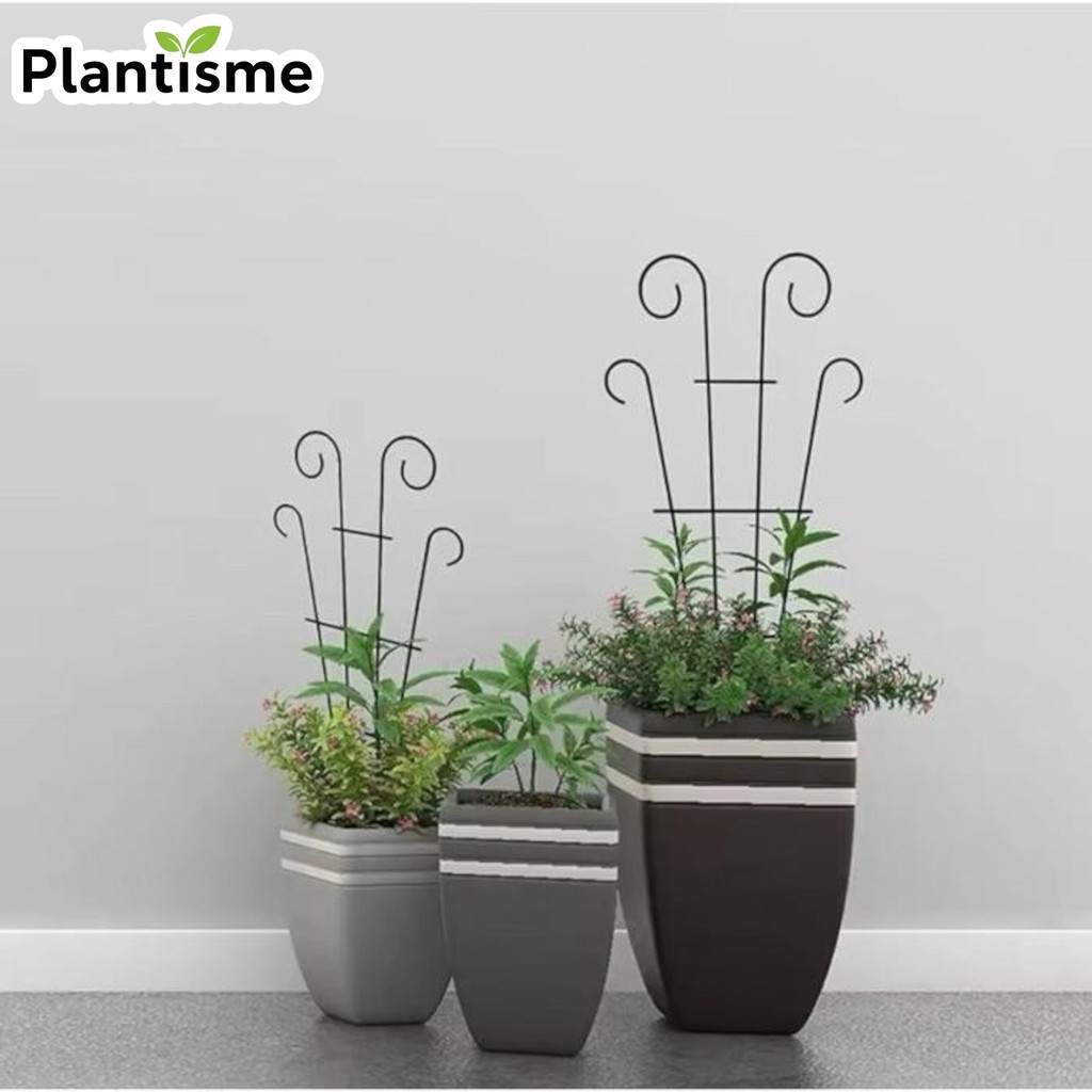 Rambatan Tanaman – Teralis Hitam Penyangga Rambat Fan Trellis Metal Plant Support Stand Climbing Fra