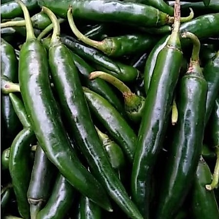 Cabe hijau Besar 100grm/250grm/500grm