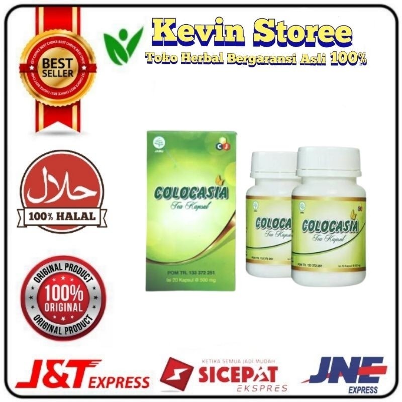 OBAT SENDI COLOCASIA Colocasia Asli Original Obat Anti Sendi Terbaik Di Jamin Manjur