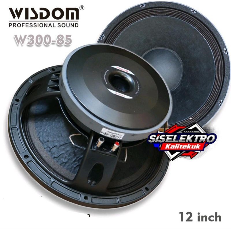 KOMPONEN Speaker  ch WISDOM W300-85