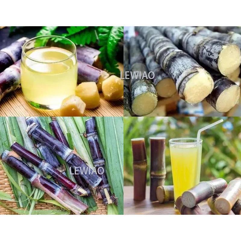Sugar Cane Juicer For Fresh Sugarcane Industrial Sugar Cane Extractor Machine