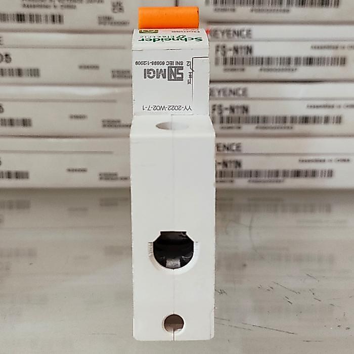 Mcb Schneider Domae 1P C63 / 63A