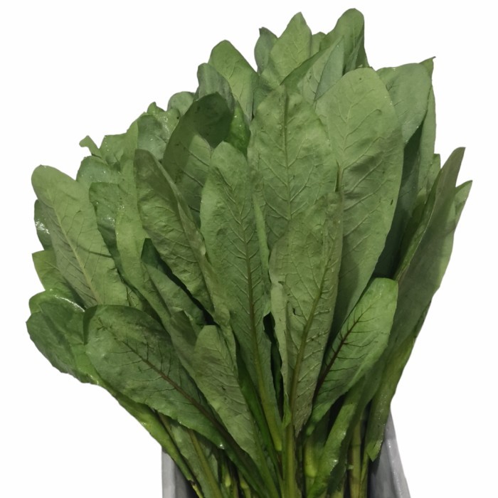 

Sayur Fumak Kumek Kumak Lindung cah Fumak bukan SIOMAK