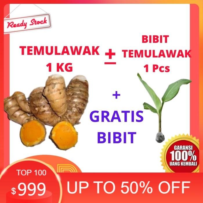

Temulawak segar 1 kg promo bibit