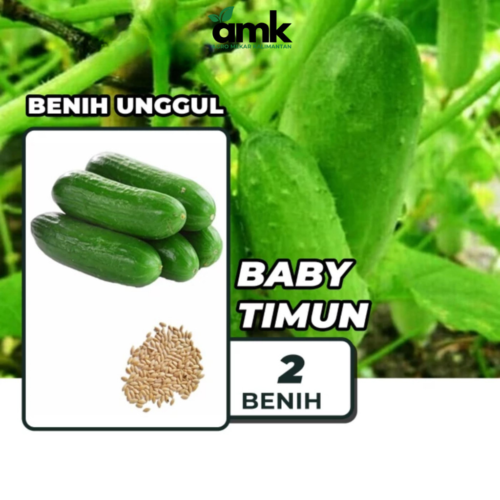 Benih Bibit BABY TIMUN Mentimun Timun Mini - Agro Mekar Kalimantan