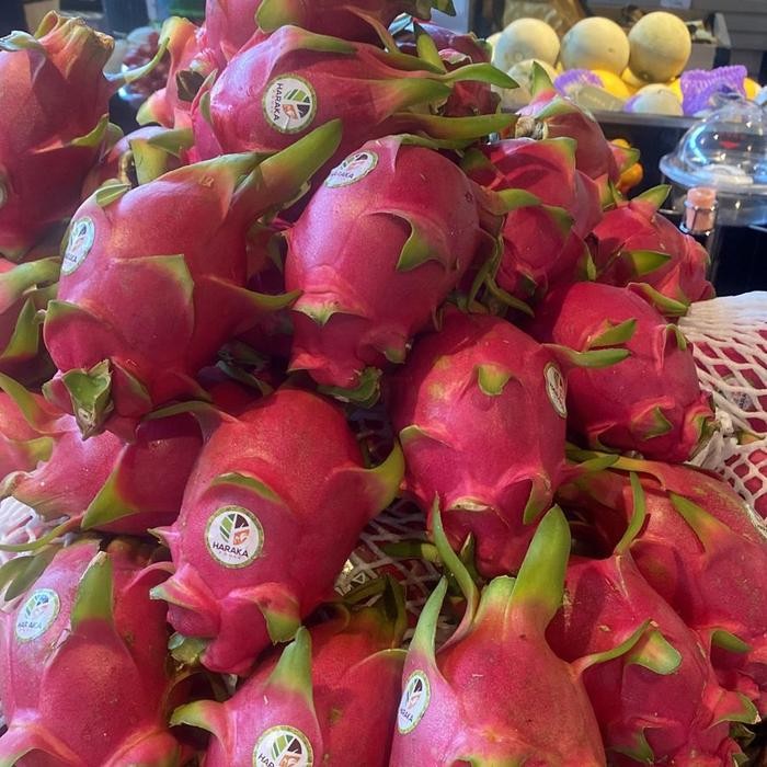 

Buah naga putih asli segar | Dragon fruit white fresh 1 kg