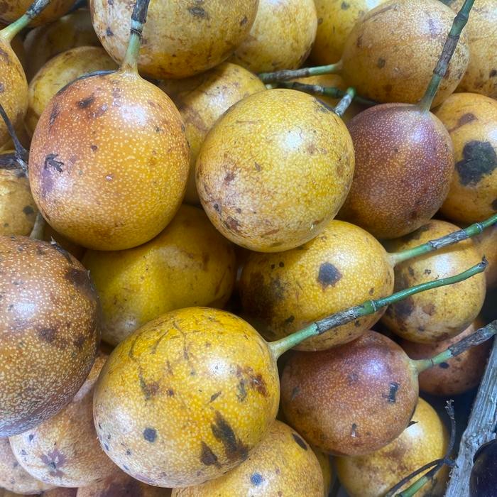 

Buah markisah fresh manis 1 kg