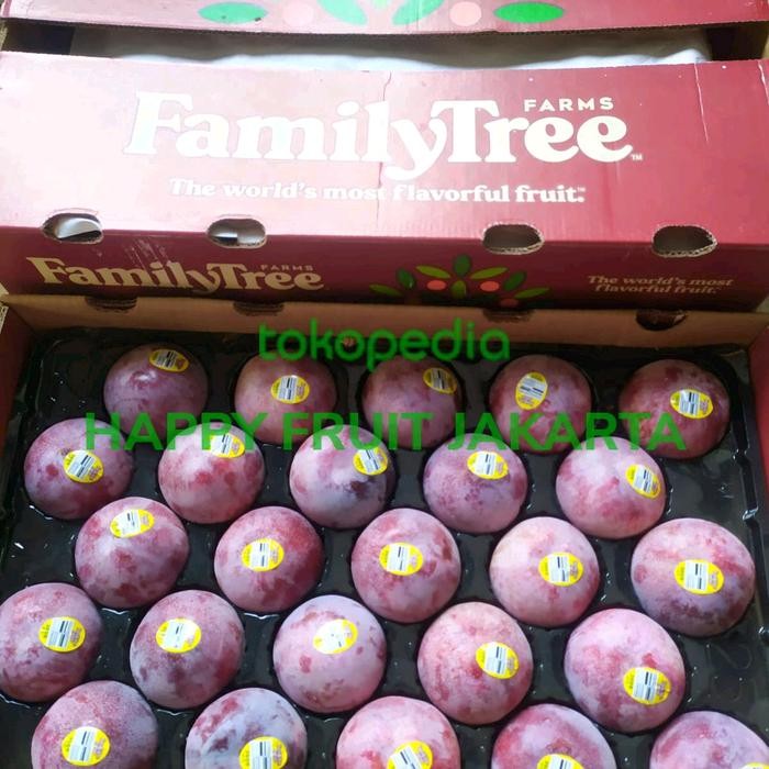 

Plum queen Garnet family tree usa super manis 1 kg