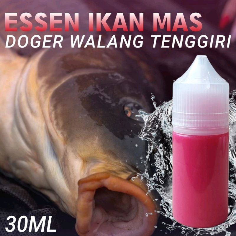 Essen Oplosan Ikan Mas Babon Rame Paling Gacor Siang Malam, Essen Aroma Doger Walang Tenggiri Harian