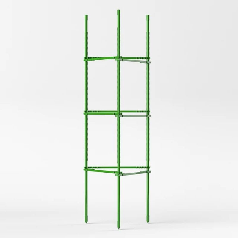 rambatan tanaman untuk tanaman merambat pohon anggur pohon tomat