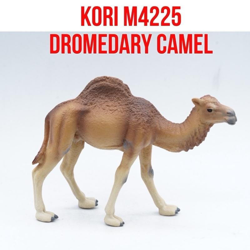 KORI Dromedary Camel Unta Punuk Satu Camelus  dromedarius Mainan Figure Binatang Miniature Hewan Ani