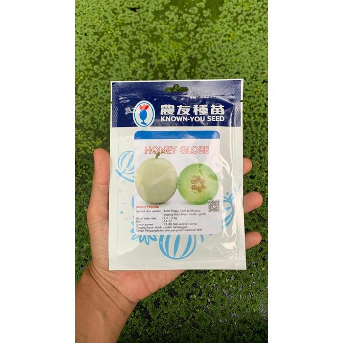 Known you seed HONEY GLOBE 500 SEED Benih Melon