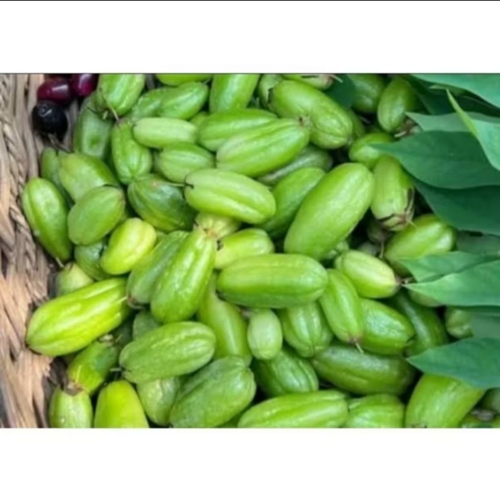 

[SJ] Belimbing Wuluh Super Fresh 500gram – Asam Alami untuk Masakan