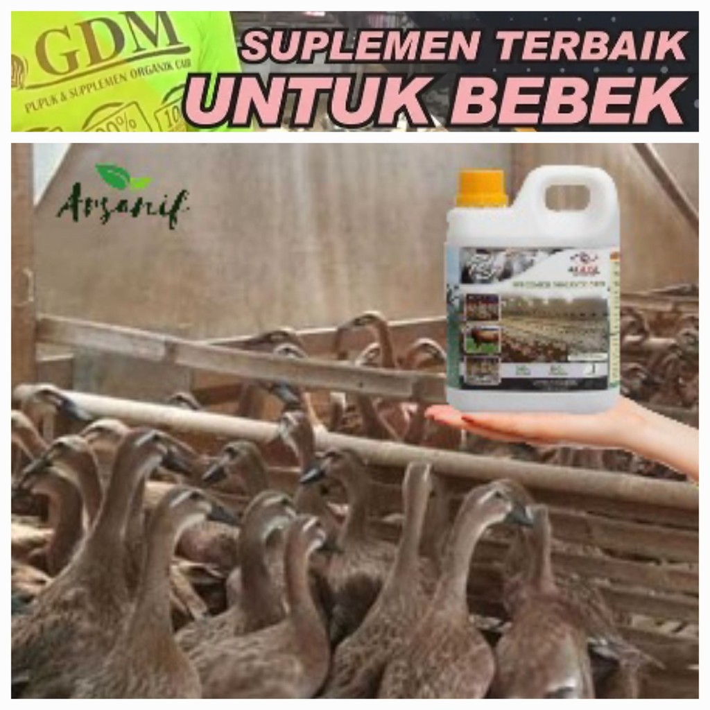 Suplemen  organik cair GDM untuk Bebek - 1 liter