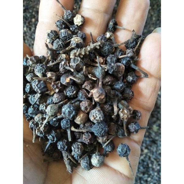 

BumiExotic Kemukus kering atau rinu 100 gram rempah