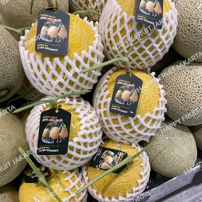 

Dang sweet Melon super yoral greenhause , melon super manis 1,7 grm