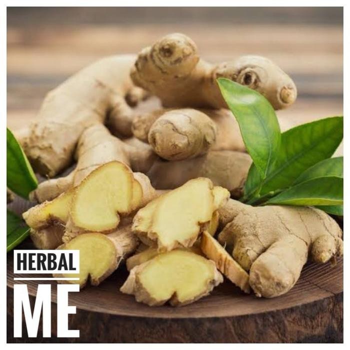 

COD JAHE GAJAH SEDANG / JAHE PUTIH SEGAR 400-800grm - BERAT, 400grm