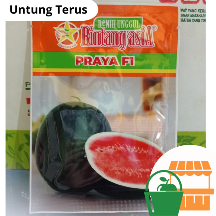 Benih Semangka PRAYA F1 Kemasan 20gr Bintang Asia Best Seller