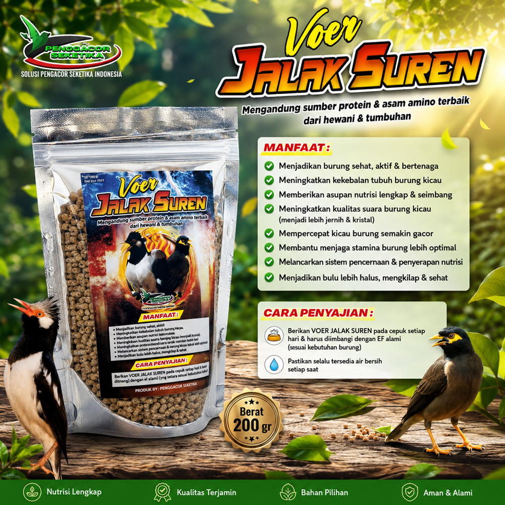 Voer Pakan Jalak Suren Penggacor burung Makanan pakan burung jalak suren