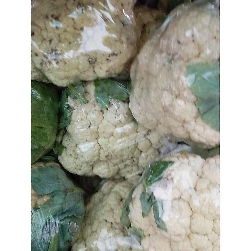 Sayur Blomkol / Bunga Kol / Kembang kol segar