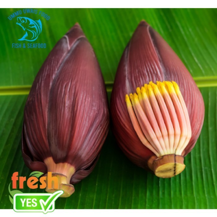 

Jantung Pisang Segar Berkualitas - 1 Pcs