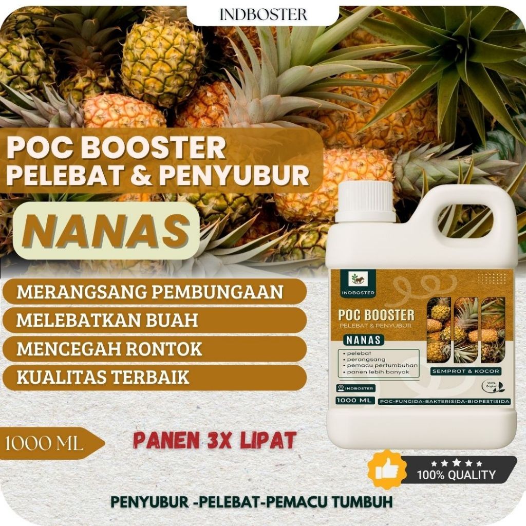 Pupuk Nanas / Pupuk Buah Nanas / Pupuk Perangsang Pelebat Buah Nanas Booster Organik Tanaman Buah Na